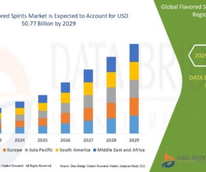 Global Flavored Spirits Market – Industry Trends and Forecast to 2029